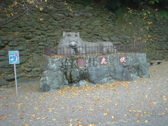 動物の画像